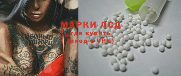 прущие грибы Вяземский