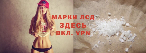 прущие грибы Вяземский