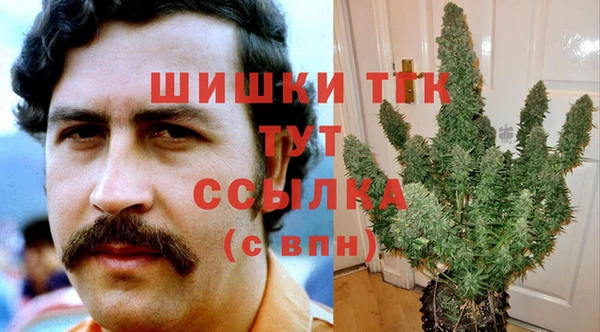 прущие грибы Вяземский