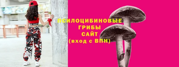 прущие грибы Вяземский