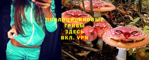 прущие грибы Вяземский