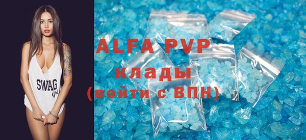 прущие грибы Вяземский