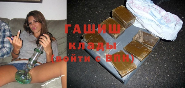 прущие грибы Вяземский