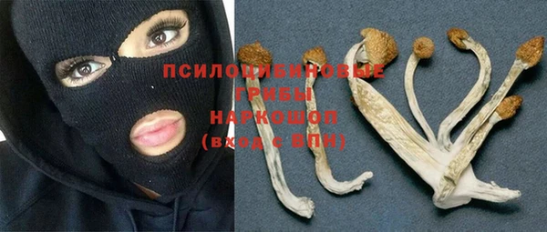 дмт Вязники