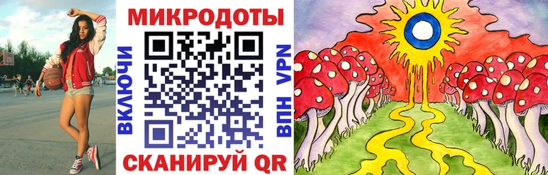 Галлюциногенные грибы ЛСД  Чернушка 